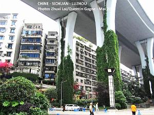 Luzhou 124